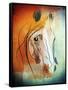 Horse-Mark Ashkenazi-Framed Stretched Canvas