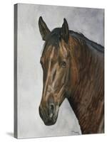Horse-Rusty Frentner-Stretched Canvas