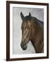 Horse-Rusty Frentner-Framed Giclee Print