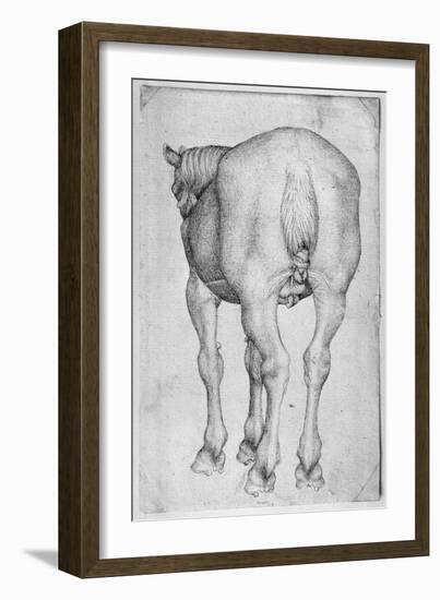 Horse-Antonio Pisani Pisanello-Framed Giclee Print