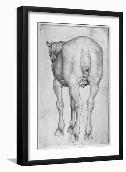 Horse-Antonio Pisani Pisanello-Framed Giclee Print