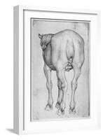 Horse-Antonio Pisani Pisanello-Framed Giclee Print