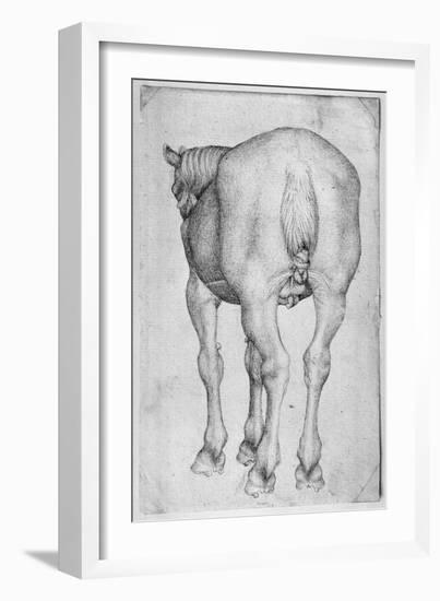 Horse-Antonio Pisani Pisanello-Framed Giclee Print