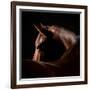 Horse-Horse & Hound Fine Art Photography-Framed Photographic Print