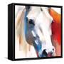 Horse-Walker Noble-Framed Stretched Canvas