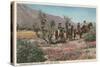 Horseback Riders Near Palm Springs-null-Stretched Canvas