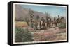 Horseback Riders Near Palm Springs-null-Framed Stretched Canvas