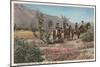 Horseback Riders Near Palm Springs-null-Mounted Premium Giclee Print