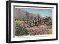 Black Frame