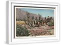 White Frame