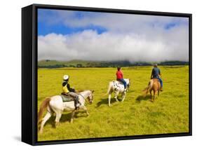 Horseback Riding at Parker Ranch, the Big Island, Hawaii, United States of America, North America-Michael DeFreitas-Framed Stretched Canvas