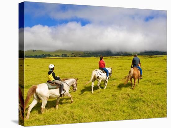 Horseback Riding at Parker Ranch, the Big Island, Hawaii, United States of America, North America-Michael DeFreitas-Stretched Canvas