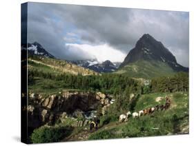 Horseback Riding, Glacier International Peace Park, Montana-James Gritz-Stretched Canvas