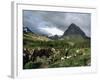 Horseback Riding, Glacier International Peace Park, Montana-James Gritz-Framed Photographic Print