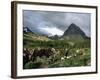 Horseback Riding, Glacier International Peace Park, Montana-James Gritz-Framed Photographic Print