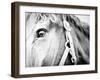 Horseback Riding I-Susan Bryant-Framed Photographic Print