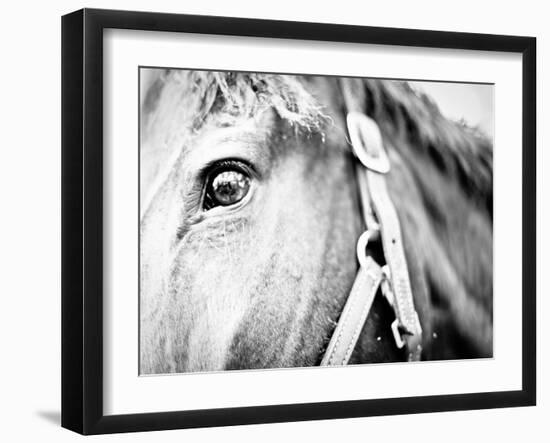 Horseback Riding I-Susan Bryant-Framed Photographic Print