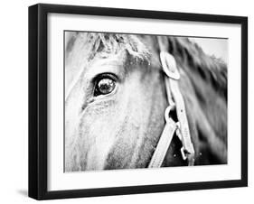 Horseback Riding I-Susan Bryant-Framed Photographic Print