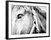 Horseback Riding I-Susan Bryant-Framed Photographic Print