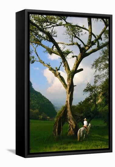 Horseback Riding, Mexico-Howard Ruby-Framed Stretched Canvas