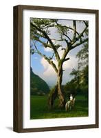 Horseback Riding, Mexico-Howard Ruby-Framed Photographic Print