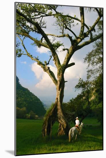 Horseback Riding, Mexico-Howard Ruby-Mounted Photographic Print