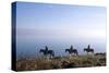 Horseback riding on the tideland, Sylt, Schleswig-Holstein, Germany-null-Stretched Canvas