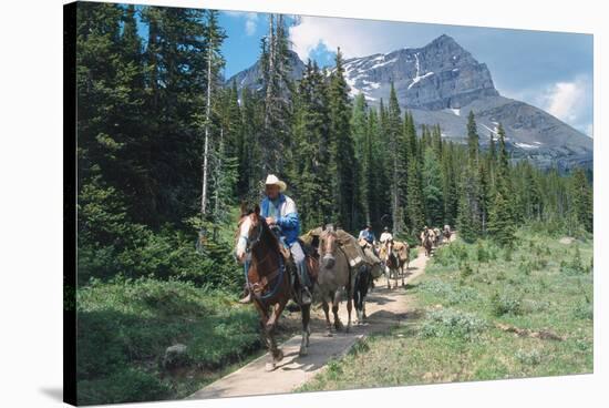 Horseback riding tour in Banff National Park, Alberta, Canada-null-Stretched Canvas