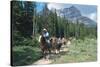 Horseback riding tour in Banff National Park, Alberta, Canada-null-Stretched Canvas