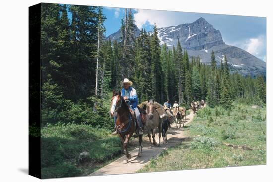 Horseback riding tour in Banff National Park, Alberta, Canada-null-Stretched Canvas