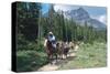 Horseback riding tour in Banff National Park, Alberta, Canada-null-Stretched Canvas