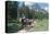 Horseback riding tour in Banff National Park, Alberta, Canada-null-Stretched Canvas