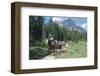 Horseback riding tour in Banff National Park, Alberta, Canada-null-Framed Art Print