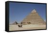 Horsecart and Pyramid of Chephren, the Giza Pyramids, Giza, Egypt, North Africa, Africa-Richard Maschmeyer-Framed Stretched Canvas