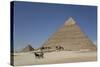 Horsecart and Pyramid of Chephren, the Giza Pyramids, Giza, Egypt, North Africa, Africa-Richard Maschmeyer-Stretched Canvas