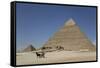 Horsecart and Pyramid of Chephren, the Giza Pyramids, Giza, Egypt, North Africa, Africa-Richard Maschmeyer-Framed Stretched Canvas