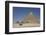 Horsecart and Pyramid of Chephren, the Giza Pyramids, Giza, Egypt, North Africa, Africa-Richard Maschmeyer-Framed Photographic Print