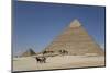 Horsecart and Pyramid of Chephren, the Giza Pyramids, Giza, Egypt, North Africa, Africa-Richard Maschmeyer-Mounted Photographic Print