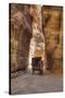 Horsecart in the Siq, Petra, Jordan, Middle East-Richard Maschmeyer-Stretched Canvas