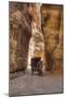 Horsecart in the Siq, Petra, Jordan, Middle East-Richard Maschmeyer-Mounted Photographic Print