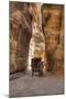 Horsecart in the Siq, Petra, Jordan, Middle East-Richard Maschmeyer-Mounted Photographic Print