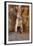 Horsecart in the Siq, Petra, Jordan, Middle East-Richard Maschmeyer-Framed Photographic Print