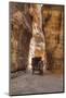Horsecart in the Siq, Petra, Jordan, Middle East-Richard Maschmeyer-Mounted Photographic Print