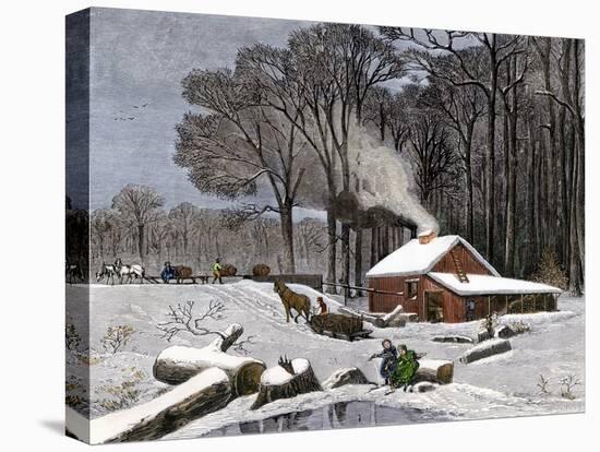 Horsedrawn Sleds Hauling Sap in a Maple Sugar Camp 1800-null-Stretched Canvas