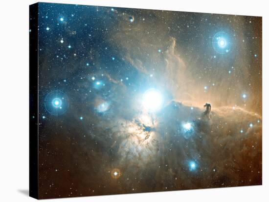 Horsehead And Flame Nebulae-Davide De Martin-Stretched Canvas