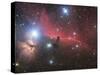 Horsehead Nebula And Flame Nebula in Orion-Stocktrek Images-Stretched Canvas