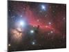Horsehead Nebula And Flame Nebula in Orion-Stocktrek Images-Mounted Photographic Print