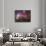 Horsehead Nebula And Flame Nebula in Orion-Stocktrek Images-Photographic Print displayed on a wall