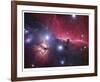 Horsehead Nebula-Robert Gendler-Framed Giclee Print