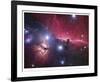 Horsehead Nebula-Robert Gendler-Framed Giclee Print